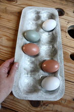 Load image into Gallery viewer, Egg Tray
