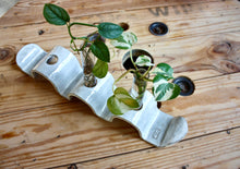 Load image into Gallery viewer, Plant Propagation Stand
